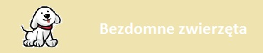 Bezdomne zwierzęta